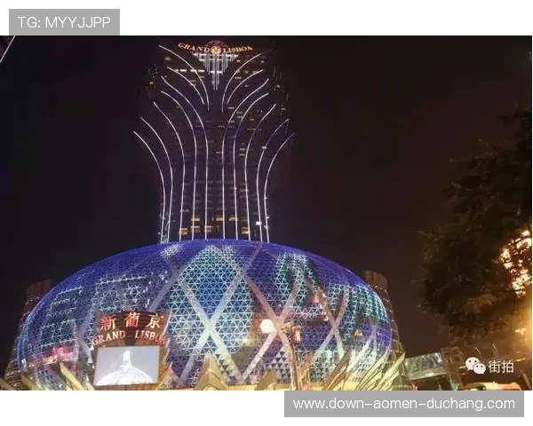 澳门新葡京网址官方入口最新版本2024年最全的登录地址汇总