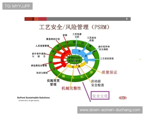 亚星百家官网网址安全登录指南，确保玩家账号信息安全无忧